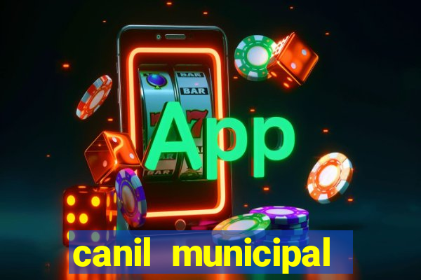 canil municipal porto alegre